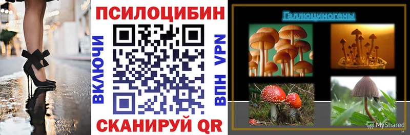 дарнет шоп  Миньяр  Галлюциногенные грибы Cubensis 